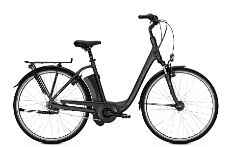 Electric City/Trekking/Mountain Bike Rental