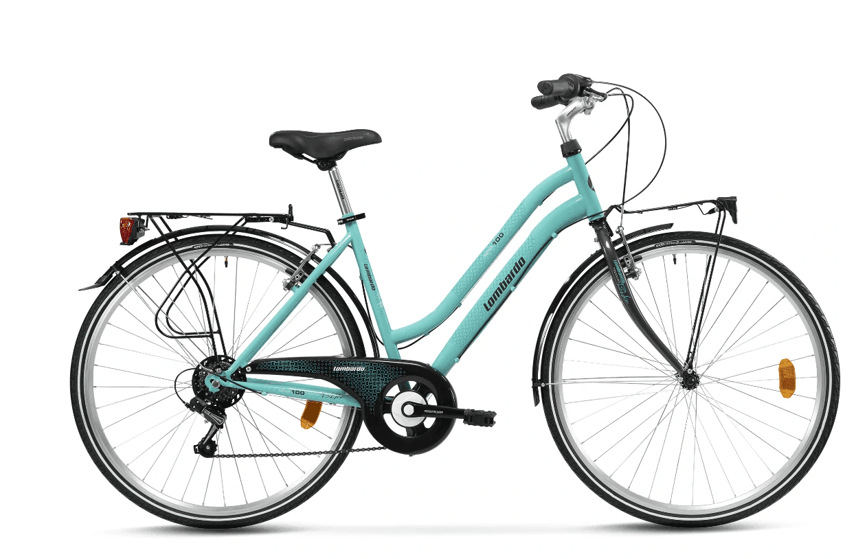 Standard City Bike