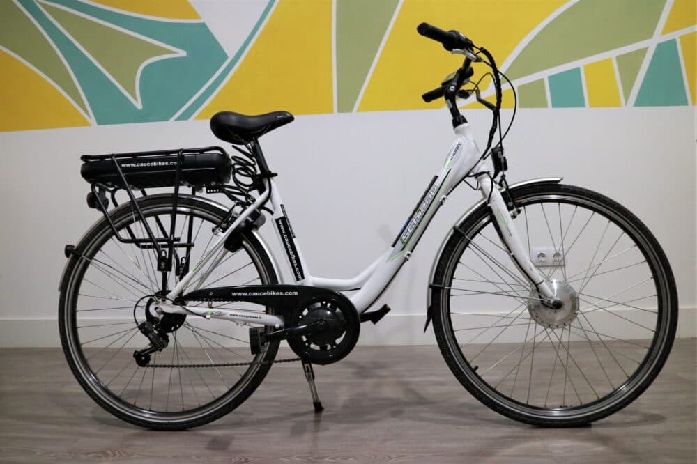 Electric Bike