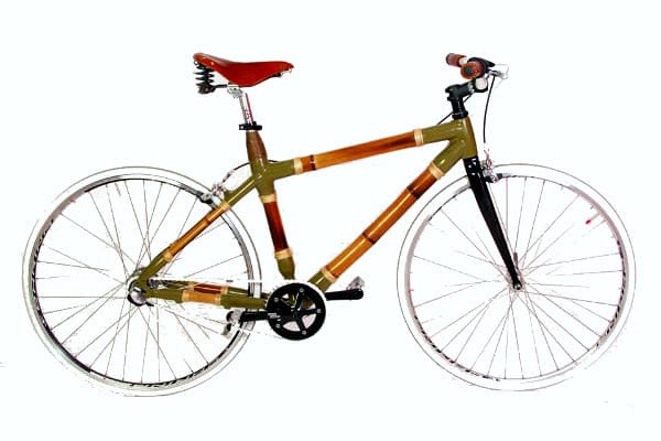 Bamboo City Bike