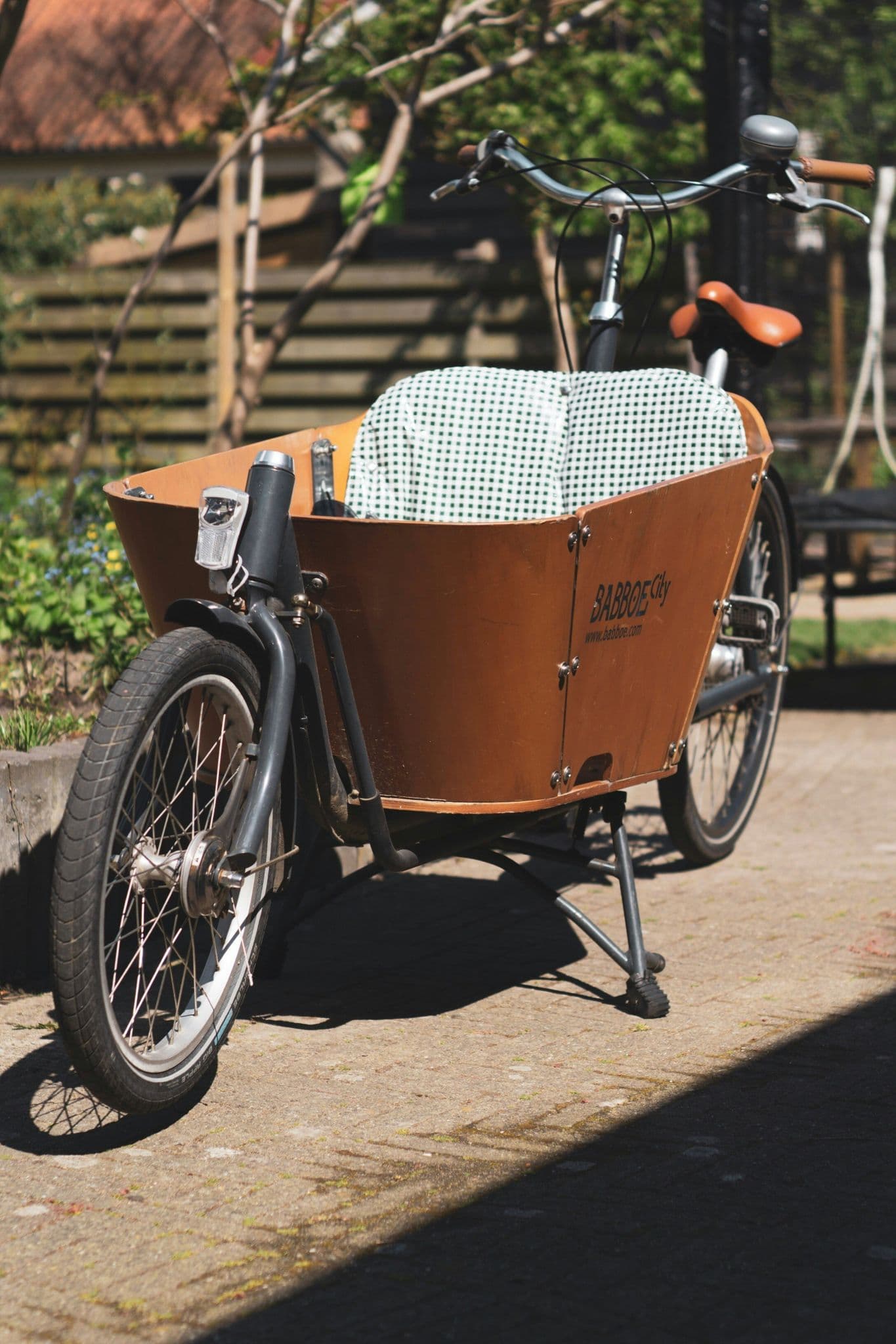 Dutch & Tandem Bicycle