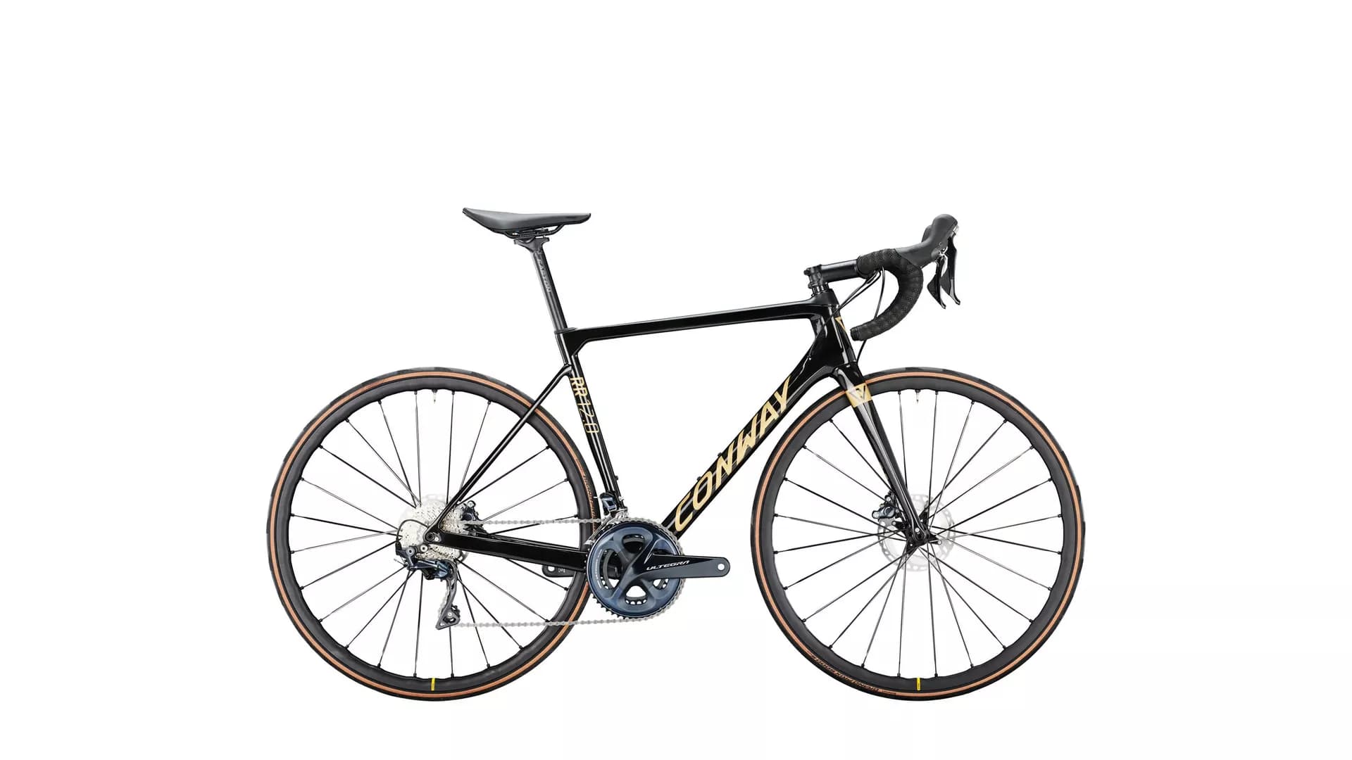 Premium Road Bike Rental