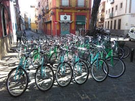 bicis en grupo alameda.jpg