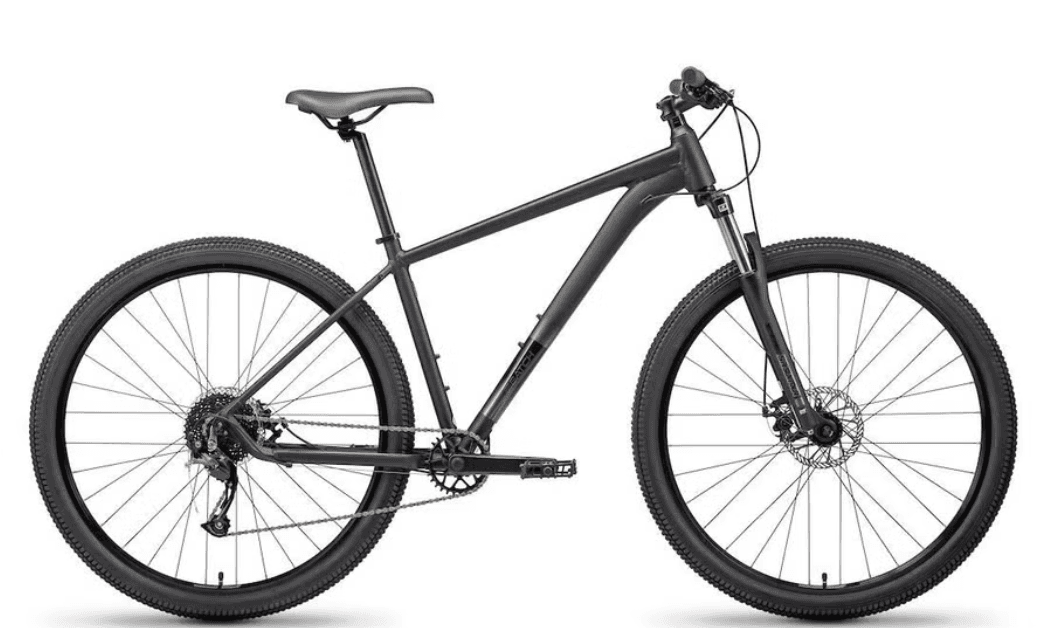 Hybrid Bike